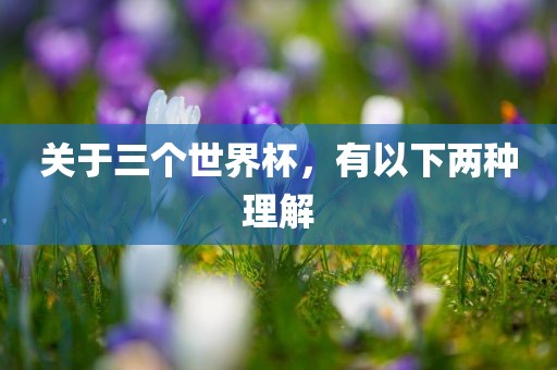 关于三个世界杯，有以下两种理解