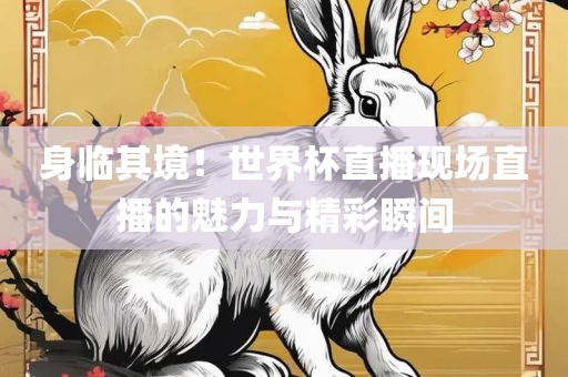 身临其境！世界杯直播现场直播的魅力与精彩瞬间