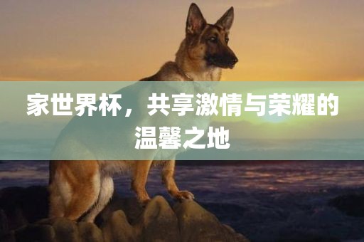 家世界杯，共享激情与荣耀的温馨之地