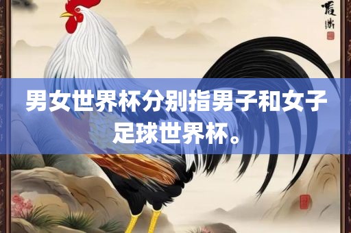 男女世界杯分别指男子和女子足球世界杯。