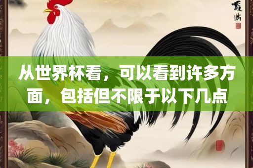 从世界杯看，可以看到许多方面，包括但不限于以下几点