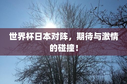 世界杯日本对阵，期待与激情的碰撞！