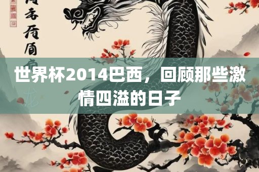 世界杯2014巴西，回顾那些激情四溢的日子