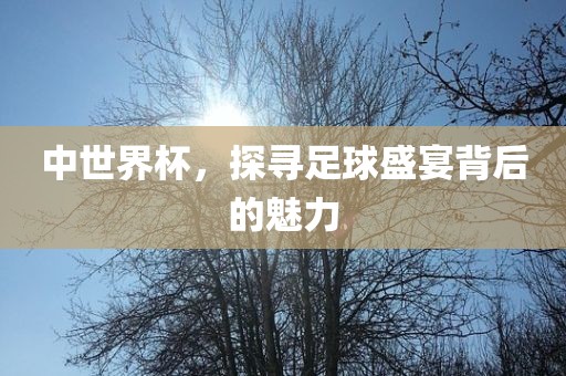 中世界杯，探寻足球盛宴背后的魅力
