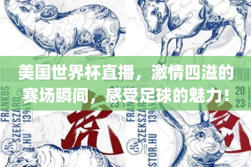 美国世界杯直播，激情四溢的赛场瞬间，感受足球的魅力！