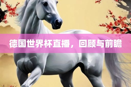 德国世界杯直播，回顾与前瞻