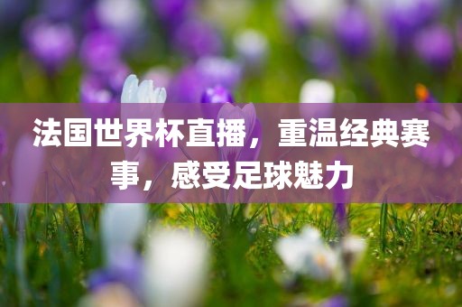 法国世界杯直播，重温经典赛事，感受足球魅力