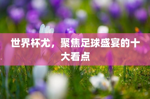 世界杯尤，聚焦足球盛宴的十大看点