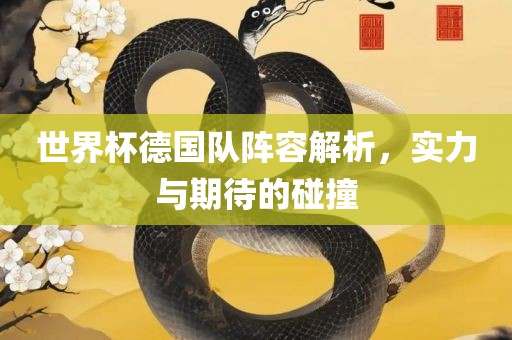 世界杯德国队阵容解析，实力与期待的碰撞