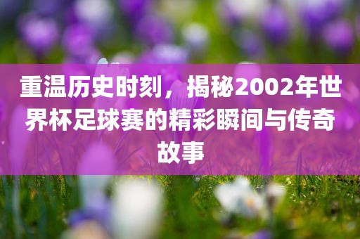 重温历史时刻，揭秘2002年世界杯足球赛的精彩瞬间与传奇故事