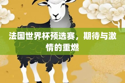 法国世界杯预选赛，期待与激情的重燃