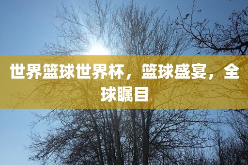 世界篮球世界杯，篮球盛宴，全球瞩目