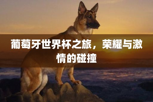 葡萄牙世界杯之旅，荣耀与激情的碰撞