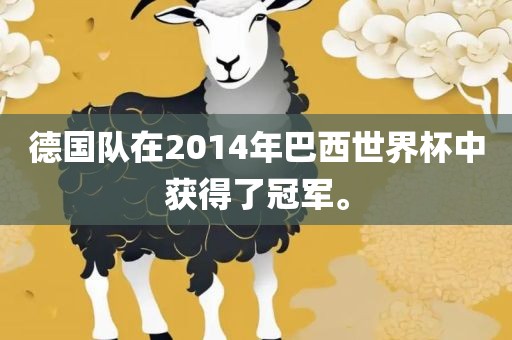 德国队在2014年巴西世界杯中获得了冠军。