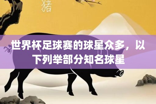 世界杯足球赛的球星众多，以下列举部分知名球星