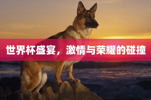 世界杯盛宴，激情与荣耀的碰撞