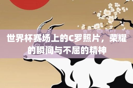 世界杯赛场上的C罗照片，荣耀的瞬间与不屈的精神