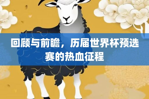 回顾与前瞻，历届世界杯预选赛的热血征程