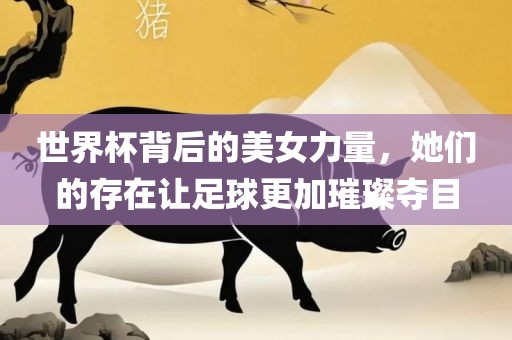 世界杯背后的美女力量，她们的存在让足球更加璀璨夺目