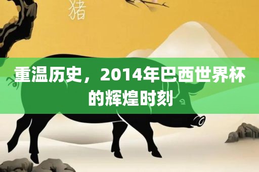 重温历史，2014年巴西世界杯的辉煌时刻