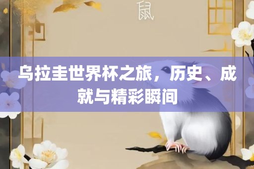 乌拉圭世界杯之旅，历史、成就与精彩瞬间