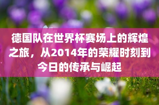 德国队在世界杯赛场上的辉煌之旅，从2014年的荣耀时刻到今日的传承与崛起