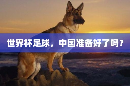 世界杯足球，中国准备好了吗？