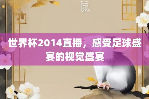 世界杯2014直播，感受足球盛宴的视觉盛宴