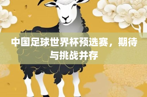 中国足球世界杯预选赛，期待与挑战并存