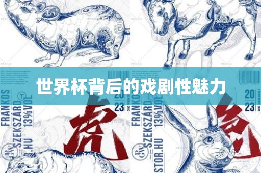 世界杯背后的戏剧性魅力
