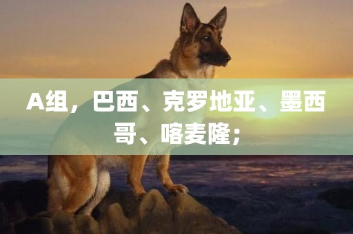 A组，巴西、克罗地亚、墨西哥、喀麦隆；