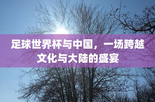 足球世界杯与中国，一场跨越文化与大陆的盛宴