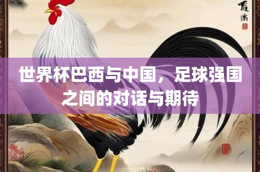 世界杯巴西与中国，足球强国之间的对话与期待