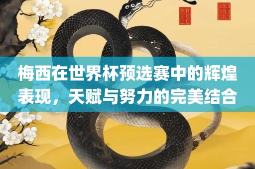 梅西在世界杯预选赛中的辉煌表现，天赋与努力的完美结合