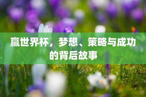 赢世界杯，梦想、策略与成功的背后故事