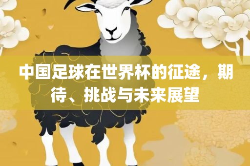 中国足球在世界杯的征途，期待、挑战与未来展望