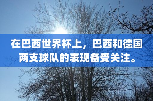 在巴西世界杯上，巴西和德国两支球队的表现备受关注。