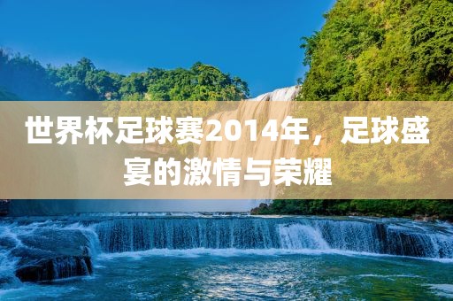 世界杯足球赛2014年，足球盛宴的激情与荣耀
