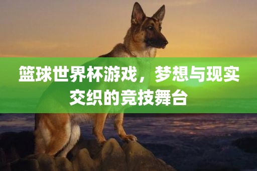 篮球世界杯游戏，梦想与现实交织的竞技舞台