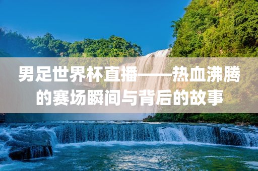 男足世界杯直播——热血沸腾的赛场瞬间与背后的故事
