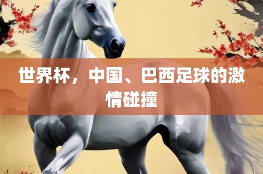 世界杯，中国、巴西足球的激情碰撞