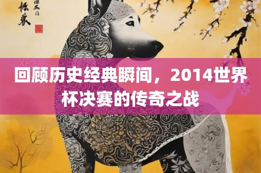 回顾历史经典瞬间，2014世界杯决赛的传奇之战