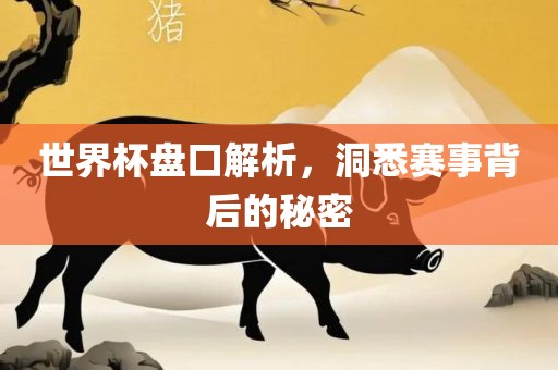 世界杯盘口解析，洞悉赛事背后的秘密
