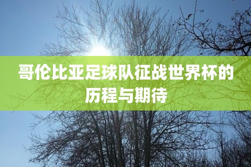 哥伦比亚足球队征战世界杯的历程与期待