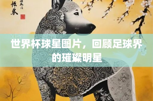 世界杯球星图片，回顾足球界的璀璨明星