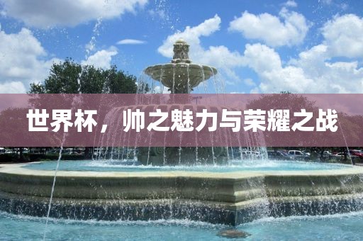 世界杯，帅之魅力与荣耀之战