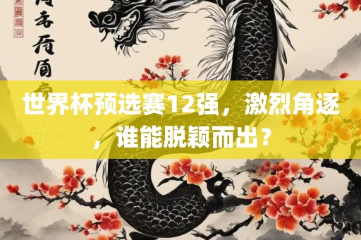 世界杯预选赛12强，激烈角逐，谁能脱颖而出？