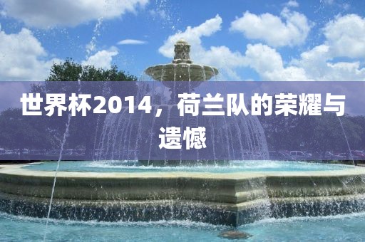 世界杯2014，荷兰队的荣耀与遗憾