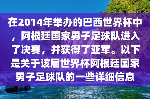 在2014年举办的巴西世界杯中，阿根廷国家男子足球队进入了决赛，并获得了亚军。以下是关于该届世界杯阿根廷国家男子足球队的一些详细信息