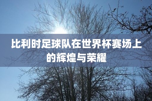 比利时足球队在世界杯赛场上的辉煌与荣耀